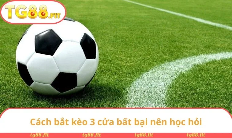 Kèo 3 Cửa Là Gì? Khái Niệm Ưu Nhược Điểm Và Bí Kíp Thắng 3 Cách bắt kèo 3 cửa bất bại nên học hỏi