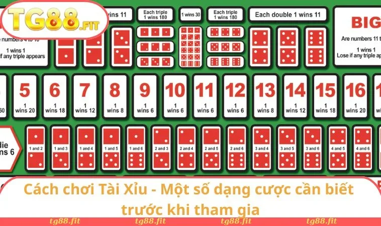 Cách Chơi Tài Xỉu - Luật Và Mẹo Chơi Giúp Chiến Thắng 1 Cách chơi Tài Xỉu - Một số dạng cược cần biết trước khi tham gia