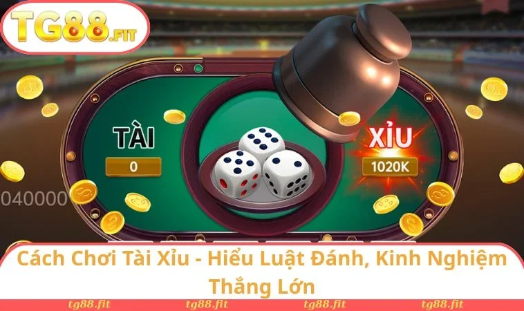 Cách Chơi Tài Xỉu - Hiểu Luật Đánh, Kinh Nghiệm Thắng Lớn