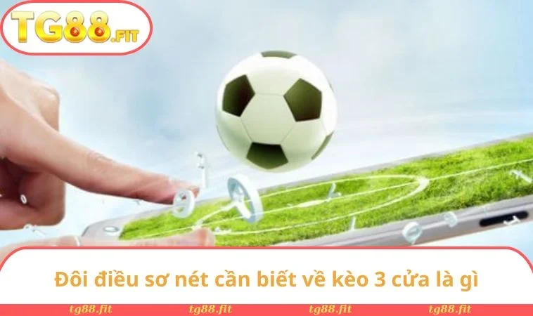Kèo 3 Cửa Là Gì? Khái Niệm Ưu Nhược Điểm Và Bí Kíp Thắng 1 Đôi điều sơ nét cần biết về kèo 3 cửa là gì