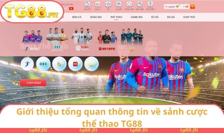 Thể Thao TG88 1 Giới thiệu tổng quan thông tin về sảnh cược thể thao TG88