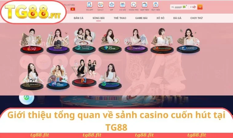 Giới thiệu tổng quan về sảnh casino cuốn hút tại TG88