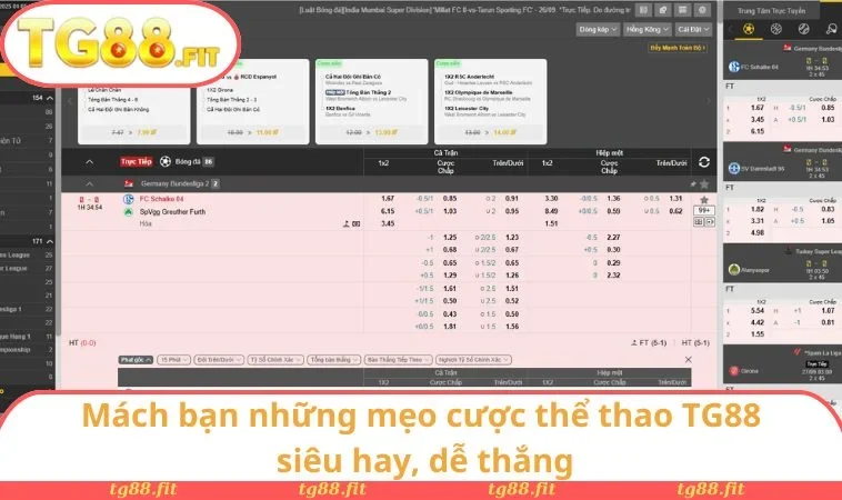 Thể Thao TG88 3 Mách bạn những mẹo cược thể thao TG88 siêu hay, dễ thắng