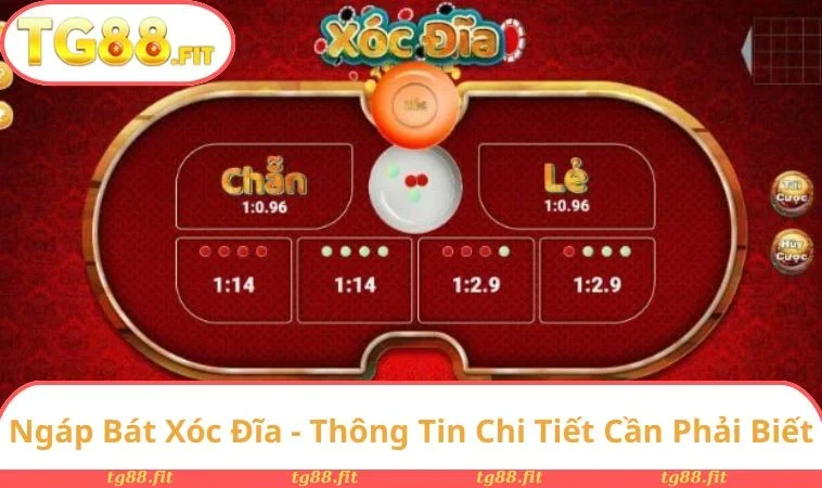 Ngáp Bát Xóc Đĩa - Thông Tin Chi Tiết Cần Phải Biết