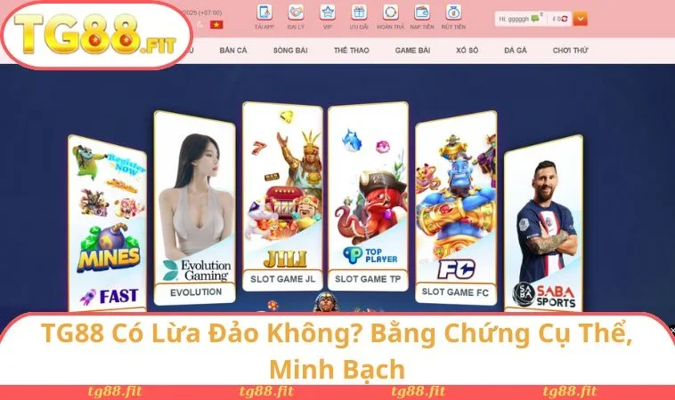 TG88 Có Lừa Đảo Không? Lý Giải Bằng Minh Chứng Rõ Ràng