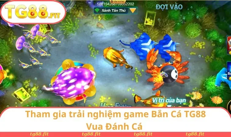 Tham gia trải nghiệm game Bắn Cá TG88 Vua Đánh Cá 