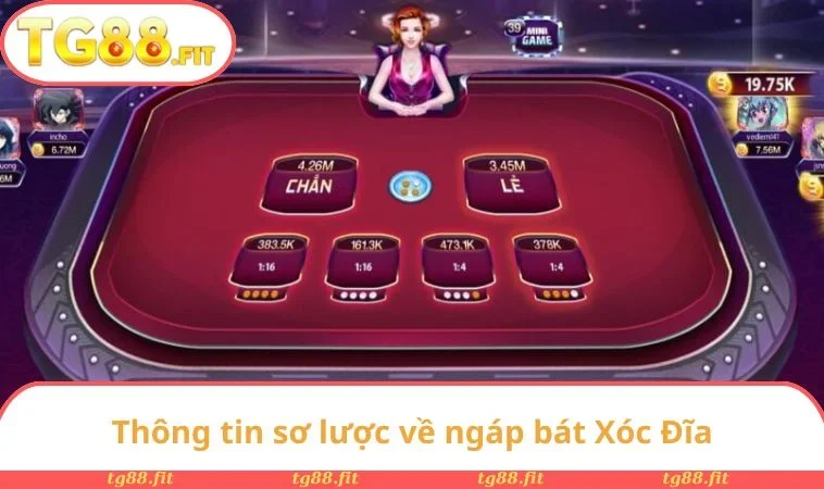 Ngáp Bát Xóc Đĩa Là Gì? Kỹ Thuật Soi Và Kinh Nghiệm Thắng 1 Thông tin sơ lược về ngáp bát Xóc Đĩa