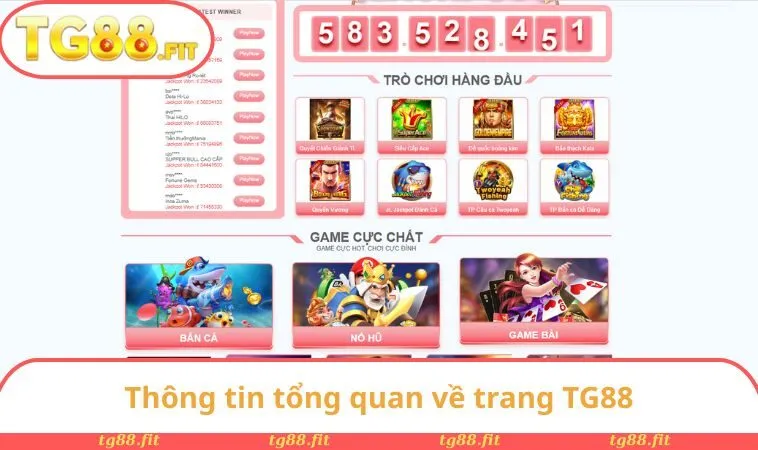 TG88 - Thương Hiệu Uy Tín Số 1 Thị Trường Châu Á Năm 2025 26 Thông tin tổng quan về trang TG88