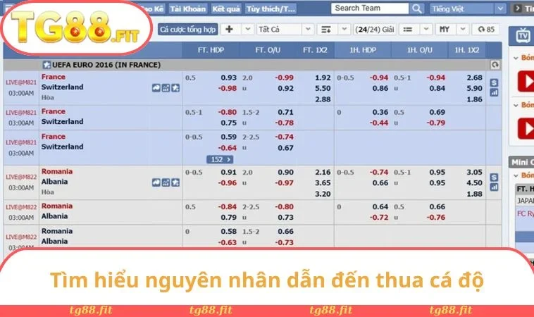 Nên Làm Gì Khi Cá Độ Thua? Bí Kíp Gỡ Kèo Thông Minh 1 Tìm hiểu nguyên nhân dẫn đến thua cá độ
